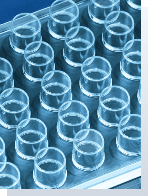 45年超の実績が生み出す高品質な射出成型品